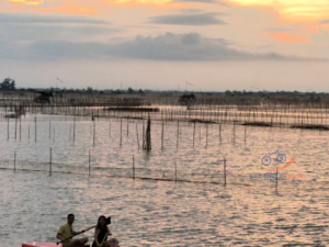 Tour-binh-minh-dam-chuon